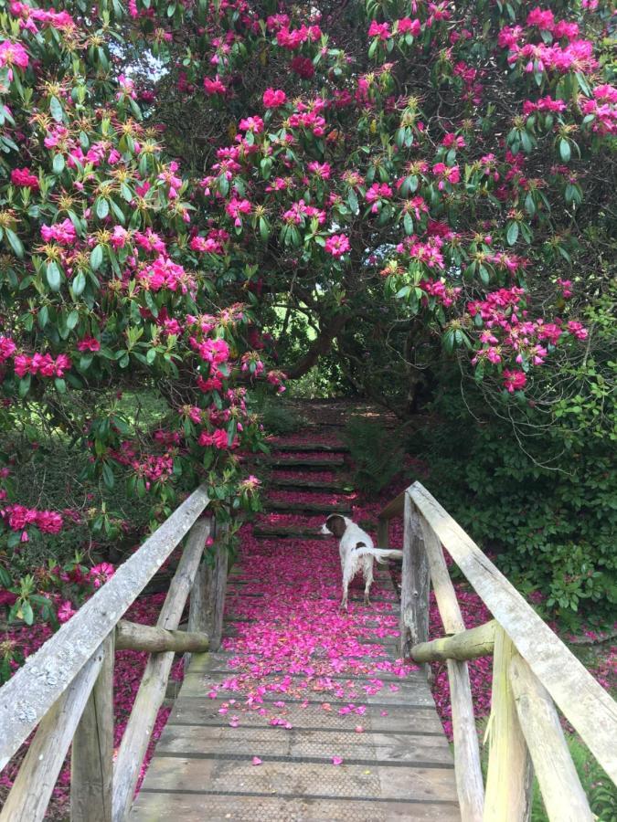 Dalmunach House Bed & Breakfast *